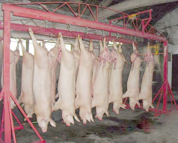 Porcul românesc, sacrificat de importuri
